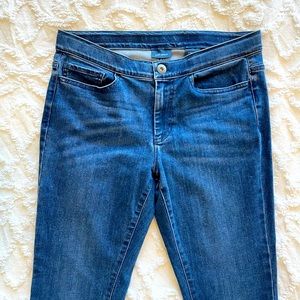 J. Jill 5 Pocket Denim Jeggings size 6